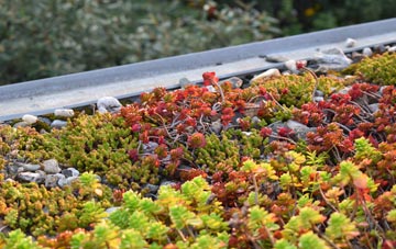 the cost of Snails Hill green roof installation