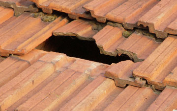 roof repair Snails Hill, Somerset